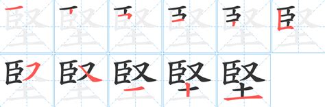 堅造詞|堅造詞，堅字的造詞